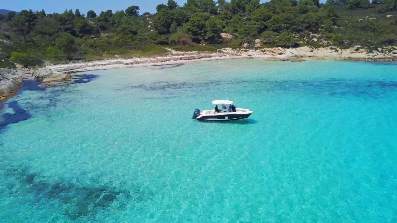 Apartament Les Oliviers - &